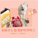 아무도 없개 이미지