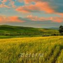 풍치축산 이미지