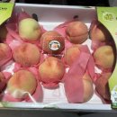 복만농장 이미지