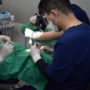 경희치과의원 네이버블로그
