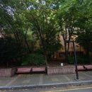 금정21세기약국 이미지