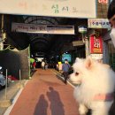 370 | 중리시장 우리부부의 최애 채소집을 소개합니다 (내돈내산)