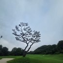김상무 | 양주CC faet 북한강을 품은 오래된 명문 골프장