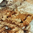 사자사지 이미지