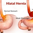 유케어종합동물병원 이미지