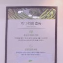 등촌샤브칼국수(망우점) 이미지