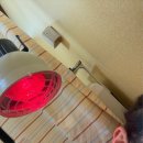 둔내한의원 이미지