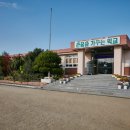 참빛 Daum카페