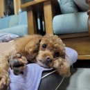 유씨케이건설(주) | 소소한 사진첩 털기 털털털털털털털털