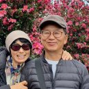 용화양강로 이미지