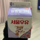 컬리 살롱 이미지