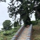 학섬식당펜션 이미지