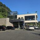 금산애견용품 | [대전 근교 애견카페] 금산 마운틴펫 애견 수영장 이용 후기