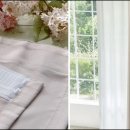 영진세탁 이미지