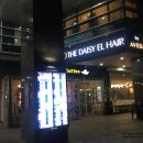 데이지엘헤어 범계점 이미지