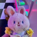 엔젤뽑기방 | 인형뽑기 성지 공유 &amp; 중독 일상••• 뽑기 그만두는게 몬데... 어떻게 하는건데.... 인형뽑기 원정대...