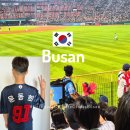 롯데(아) | 2025 사직구장 롯데자이언츠 유니폼 구매, 등번호 이름 새기기 마킹 장소, 금액, 시간 총정리