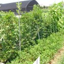 제비농장 이미지