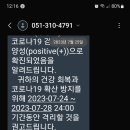 주례늘푸른약국 네이버블로그
