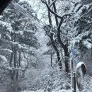 데굴데굴