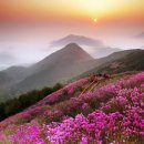 산 카카오 검색결과