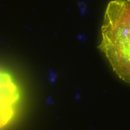 포탈 스페이스 이미지