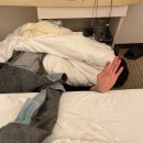 김수환무네 이미지