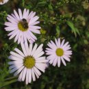 정상농장 이미지