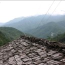 머루와 다래 이미지