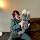 카가야쿠 유메 이미지