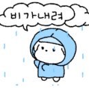 플럿