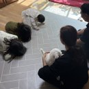 세배로마트 이미지