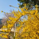 고창공설운동장 이미지