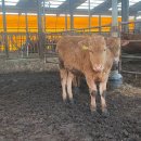 삼칠농장 이미지