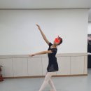 대전둔산초교+은하수유치원 네이버블로그
