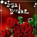멋진하루 이미지