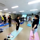 밸런스 바디디자인 네이버블로그