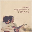 또요 Daum카페