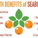 삼성온누리약국 이미지