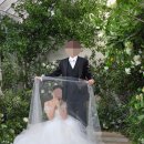 김상길 | 식스플로어 김상길작가님 웨딩촬영 후기 9탄(그리너리)