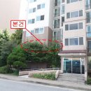 감정로 38번길 이미지