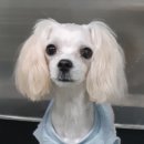 강제동세차장