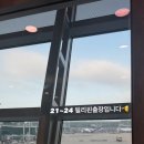 지상인
