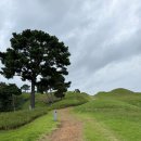 경상북도문화재연구원박물관 | 경상북도 고령 여행 대가야 박물관 지산동 고분군 왕릉 국가유산 방문 캠페인 코스 유네스코