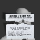 드림파머체험연구소 브런치