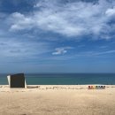 바다정원 이미지