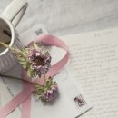 양지초등학교2 이미지