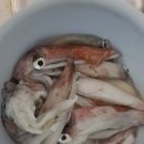 제주 신촌 바다뷰 게스트하우스 | 제주조천게스트하우스 잘 머무르고 온 제주신촌바다뷰게스트하우스