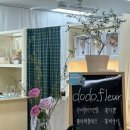 도도플레르 - 구로구 중앙로1길 42 | 도도플레르
