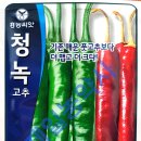 흥농종묘 이미지